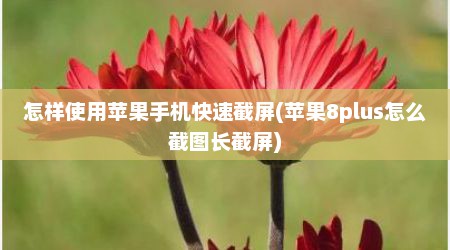 怎样使用苹果手机快速截屏(苹果8plus怎么截图长截屏)