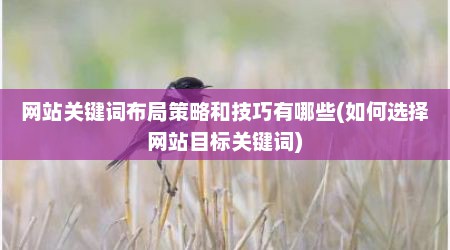 网站关键词布局策略和技巧有哪些(如何选择网站目标关键词)