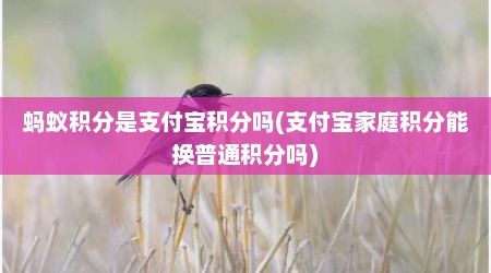 蚂蚁积分是支付宝积分吗(支付宝家庭积分能换普通积分吗)