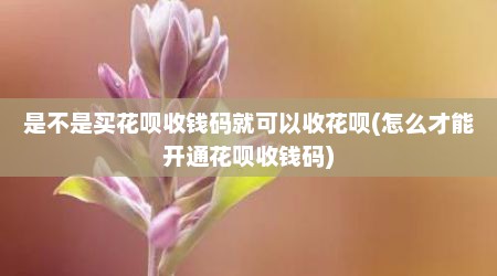 是不是买花呗收钱码就可以收花呗(怎么才能开通花呗收钱码)