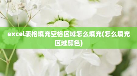 excel表格填充空格区域怎么填充(怎么填充区域颜色)