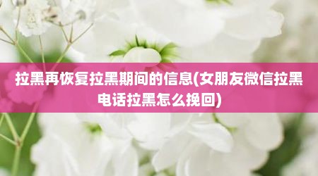 拉黑再恢复拉黑期间的信息(女朋友微信拉黑电话拉黑怎么挽回)