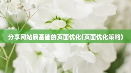 分享网站最基础的页面优化(页面优化策略)