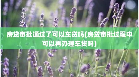 房贷审批通过了可以车贷吗(房贷审批过程中可以再办理车贷吗)