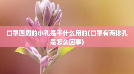 口罩四周的小孔是干什么用的(口罩有两排孔是怎么回事)