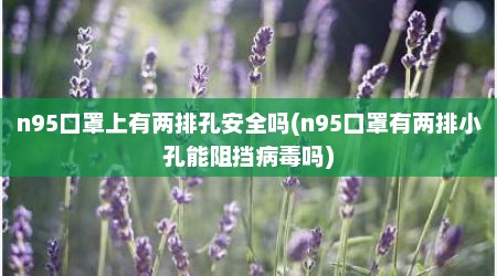 n95口罩上有两排孔安全吗(n95口罩有两排小孔能阻挡病毒吗)