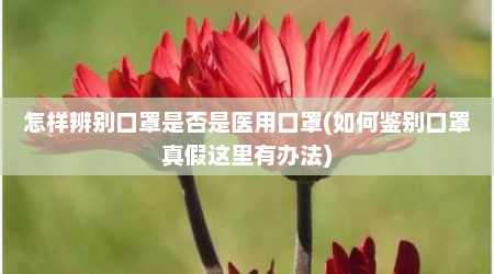 怎样辨别口罩是否是医用口罩(如何鉴别口罩真假这里有办法)