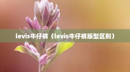 levis牛仔裤（levis牛仔裤版型区别）