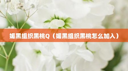 媚黑组织黑桃Q（媚黑组织黑桃怎么加入）