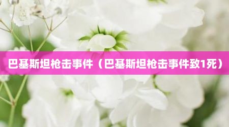 巴基斯坦枪击事件（巴基斯坦枪击事件致1死）