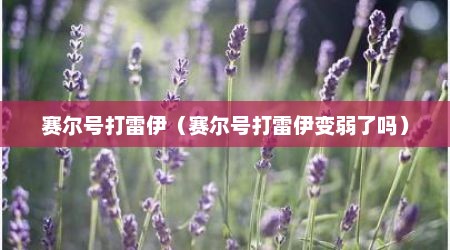 赛尔号打雷伊（赛尔号打雷伊变弱了吗）