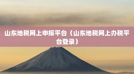 山东地税网上申报平台（山东地税网上办税平台登录）