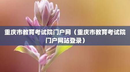 重庆市教育考试院门户网（重庆市教育考试院门户网站登录）