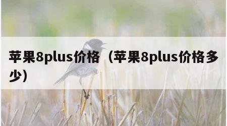 苹果8和8plus配置是多少?